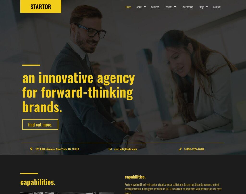 Site prezentare startor agency