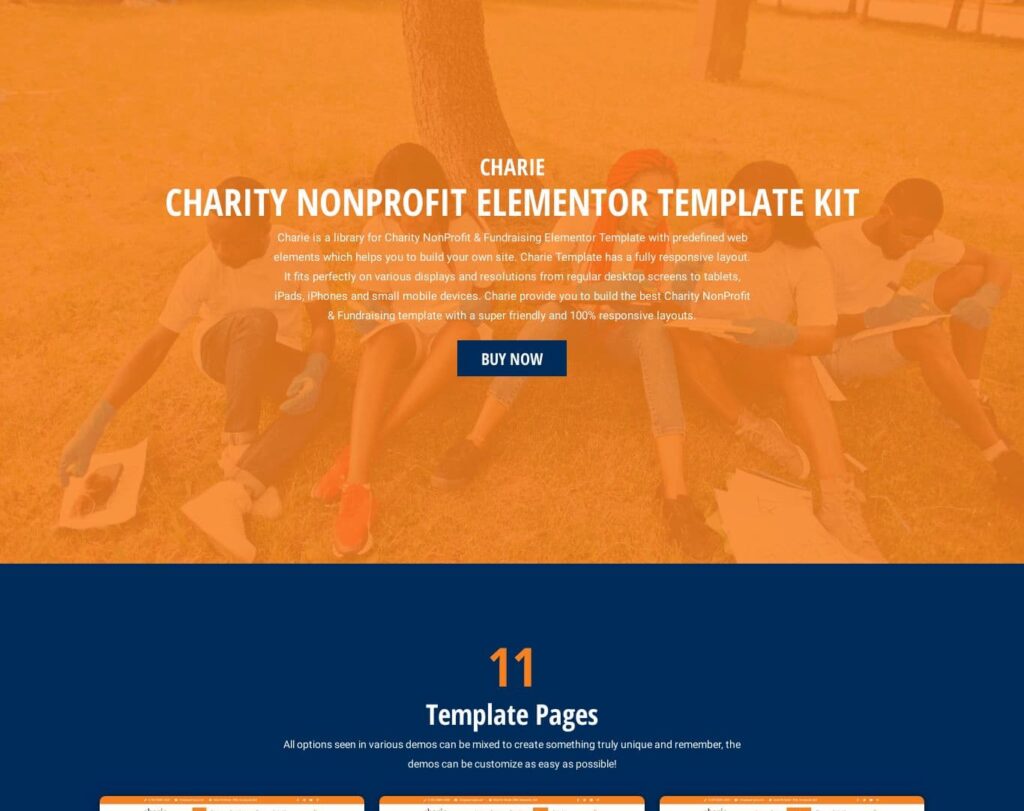 Site prezentare charie charity