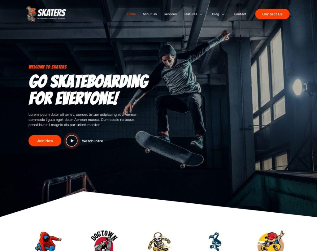 Site prezentare skaters skateboarding