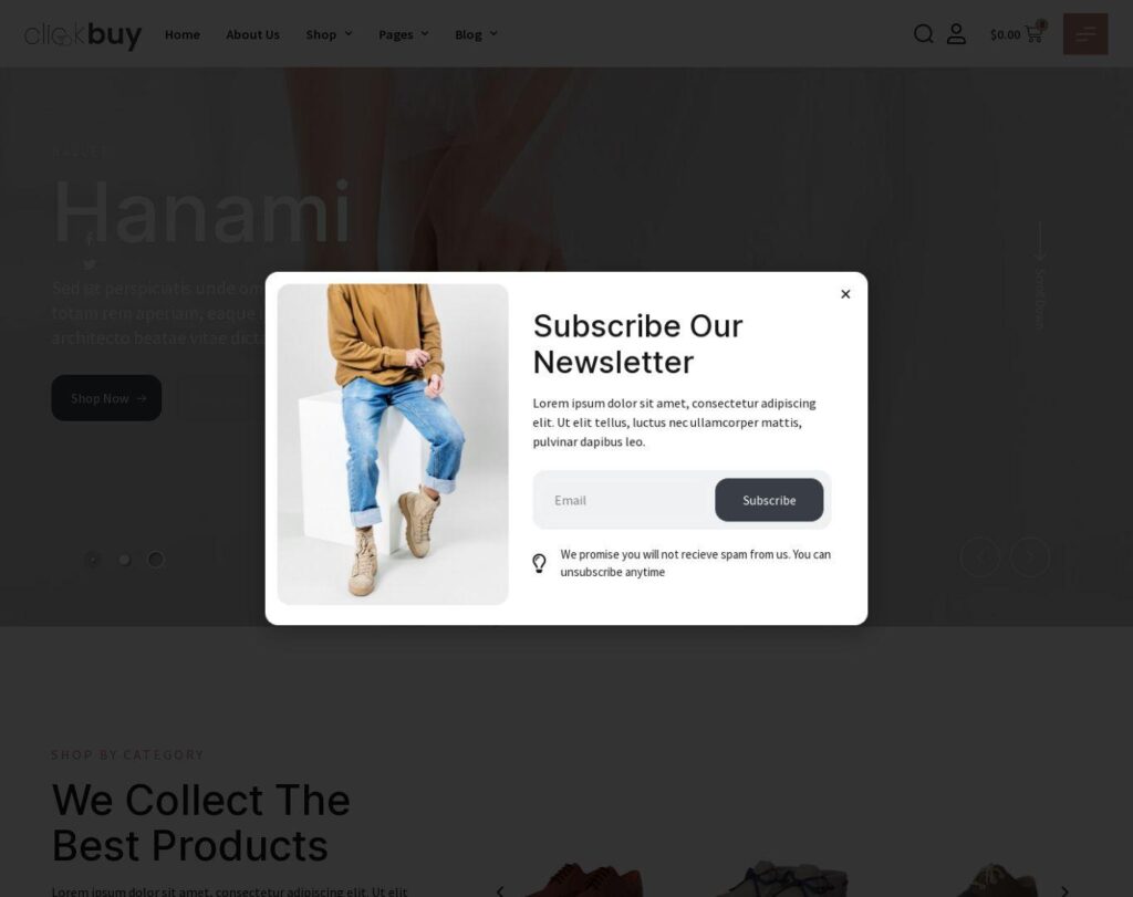 Site prezentare clickbuy shoe