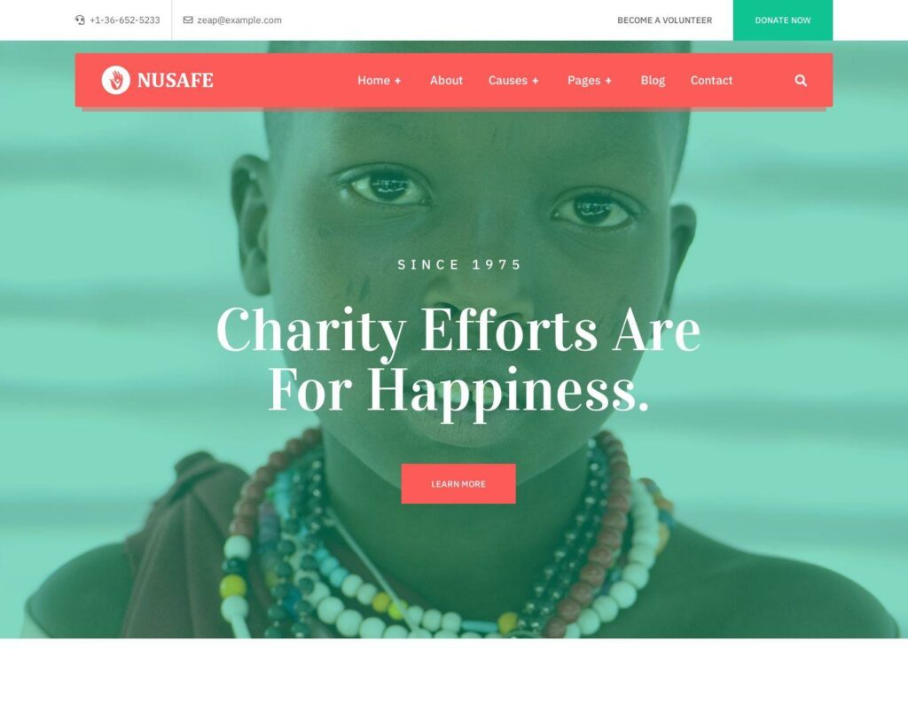 Site prezentare nusafe charity