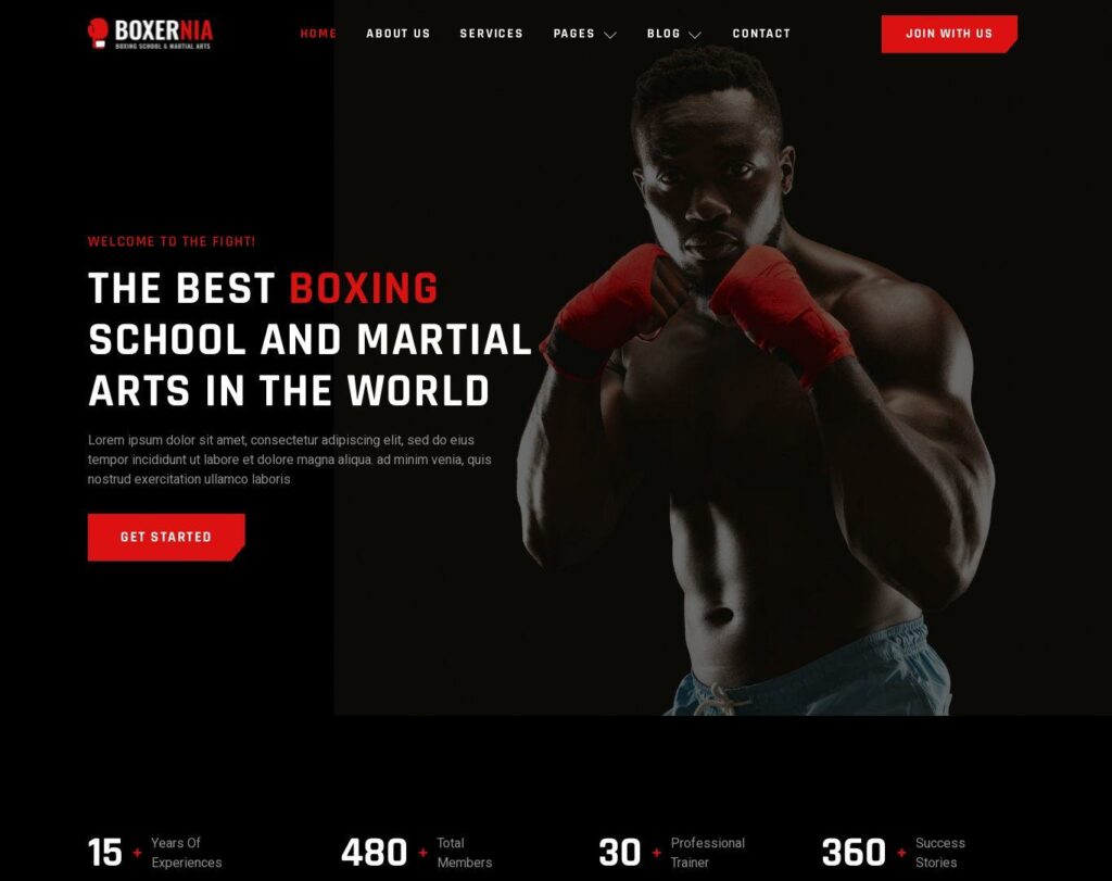 Site prezentare boxernia boxing