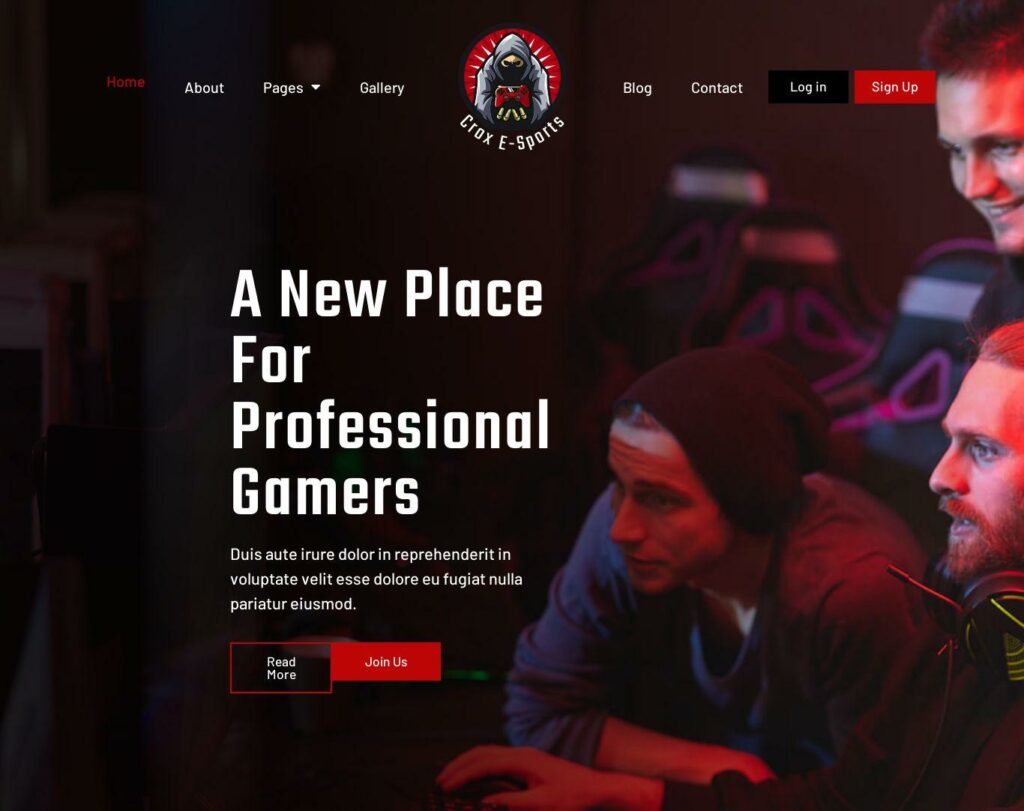 Site prezentare crox esports