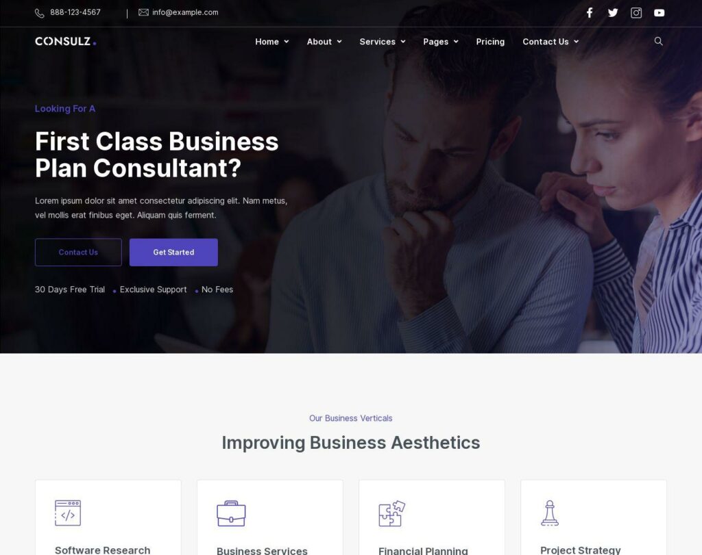 Site prezentare consulz consulting