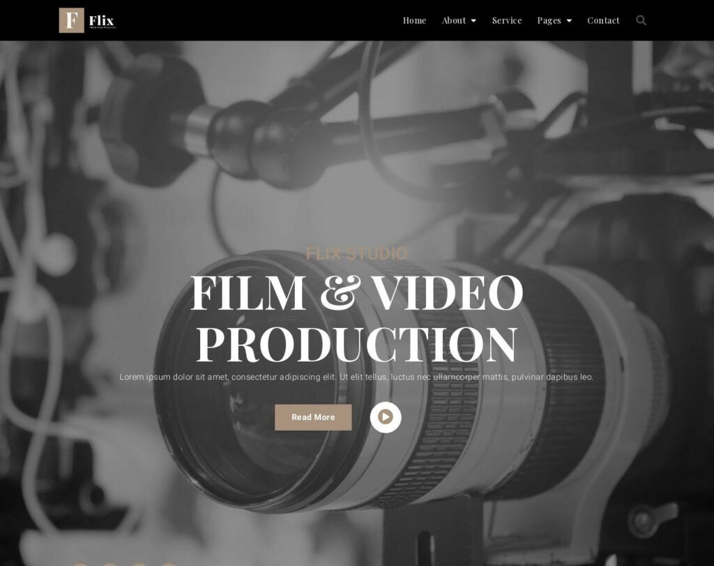 Site prezentare flix film