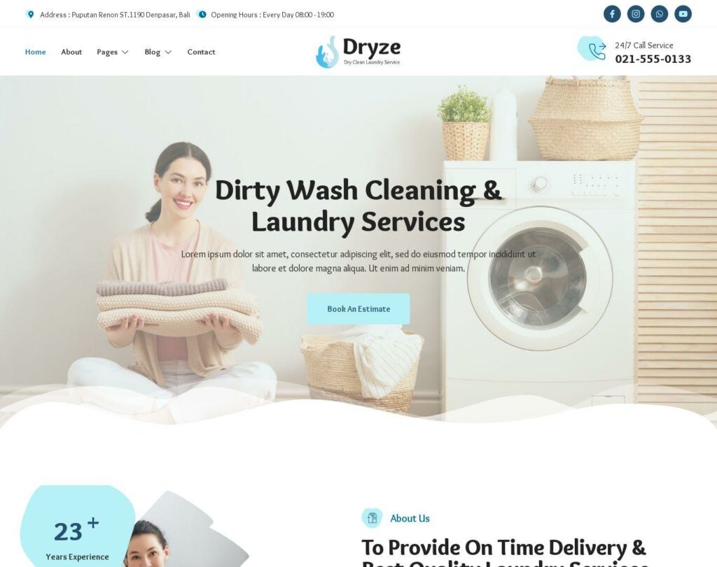 Site prezentare dryze dry