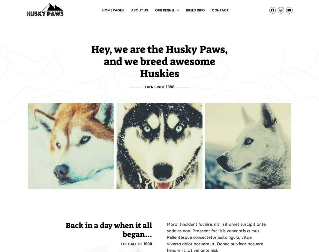 Site prezentare huskypaws dog