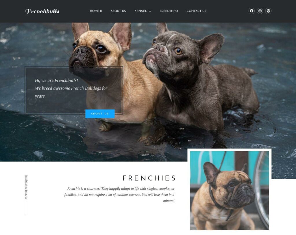 Site prezentare frenchbulls dog