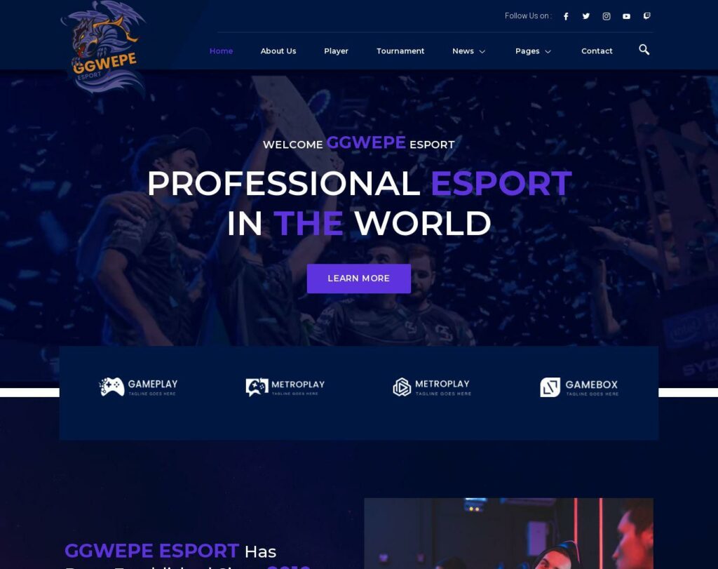 Site prezentare ggwepe esports