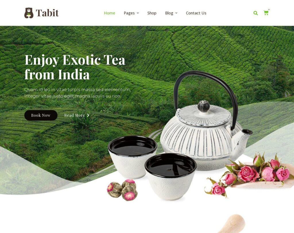 Site prezentare tabit teahouse