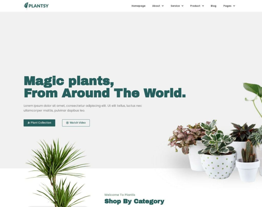 Site prezentare plantsy houseplants