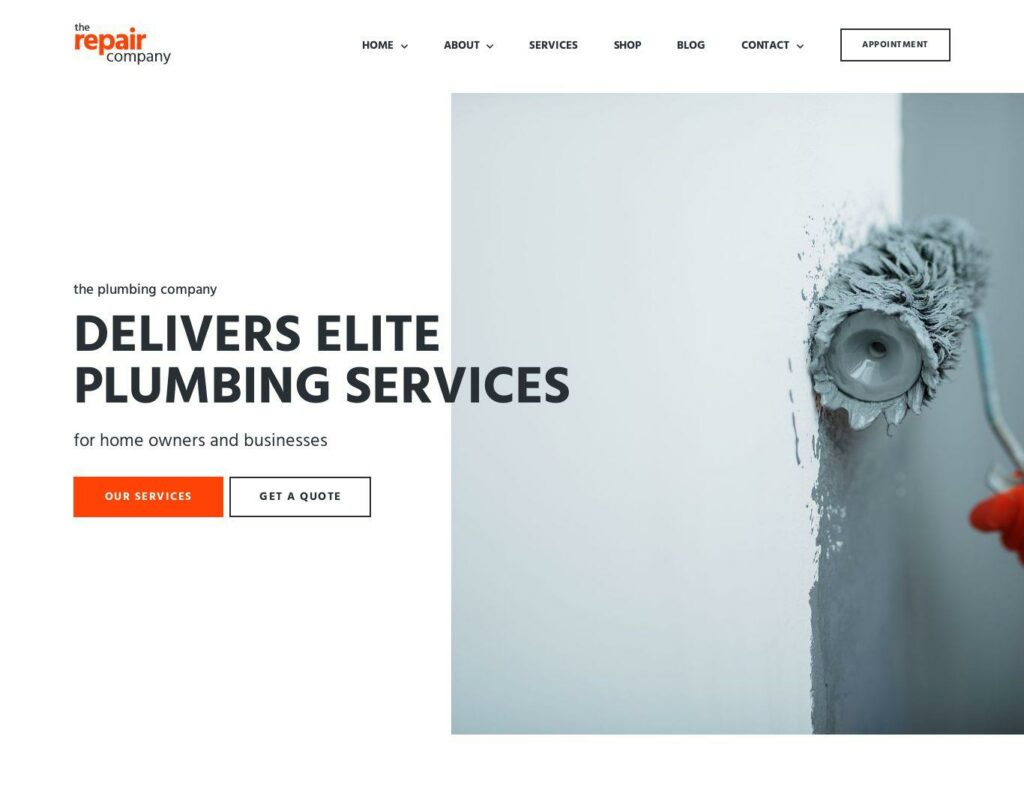 Site prezentare renovirta plumbing