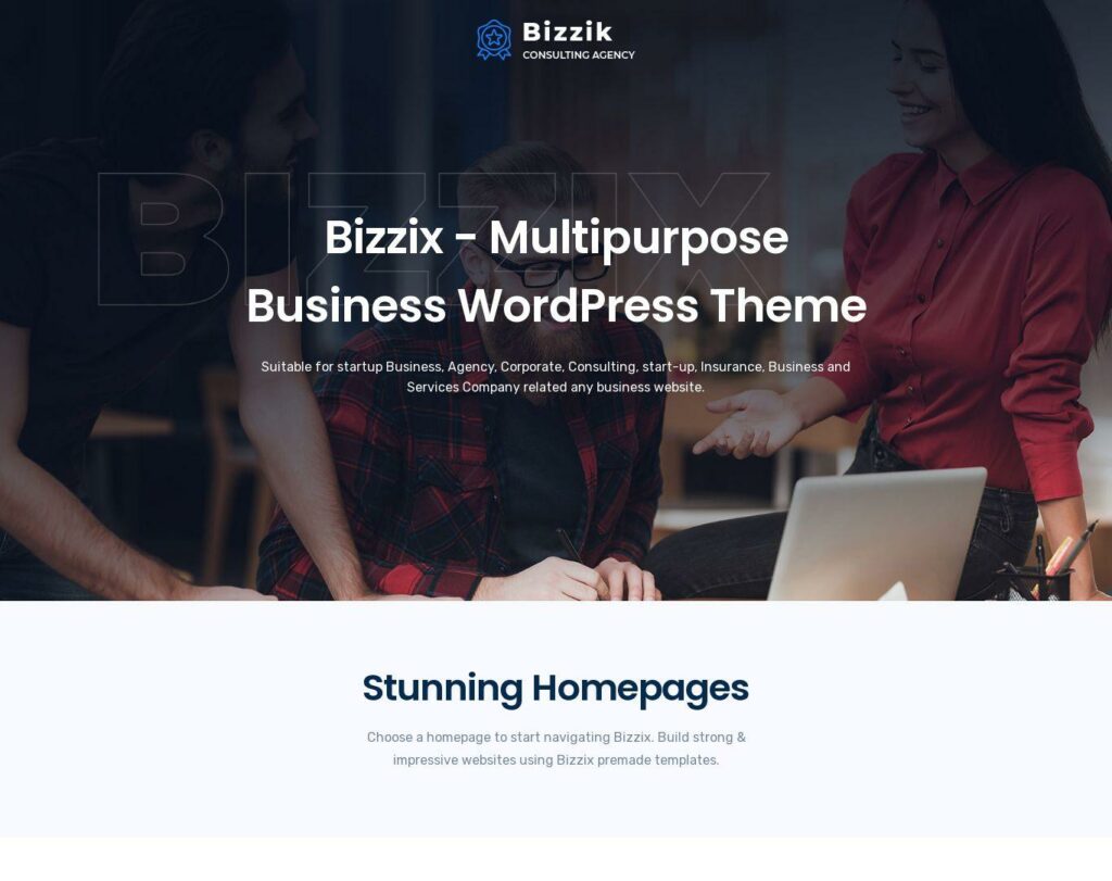 Site prezentare bizzix multipurpose