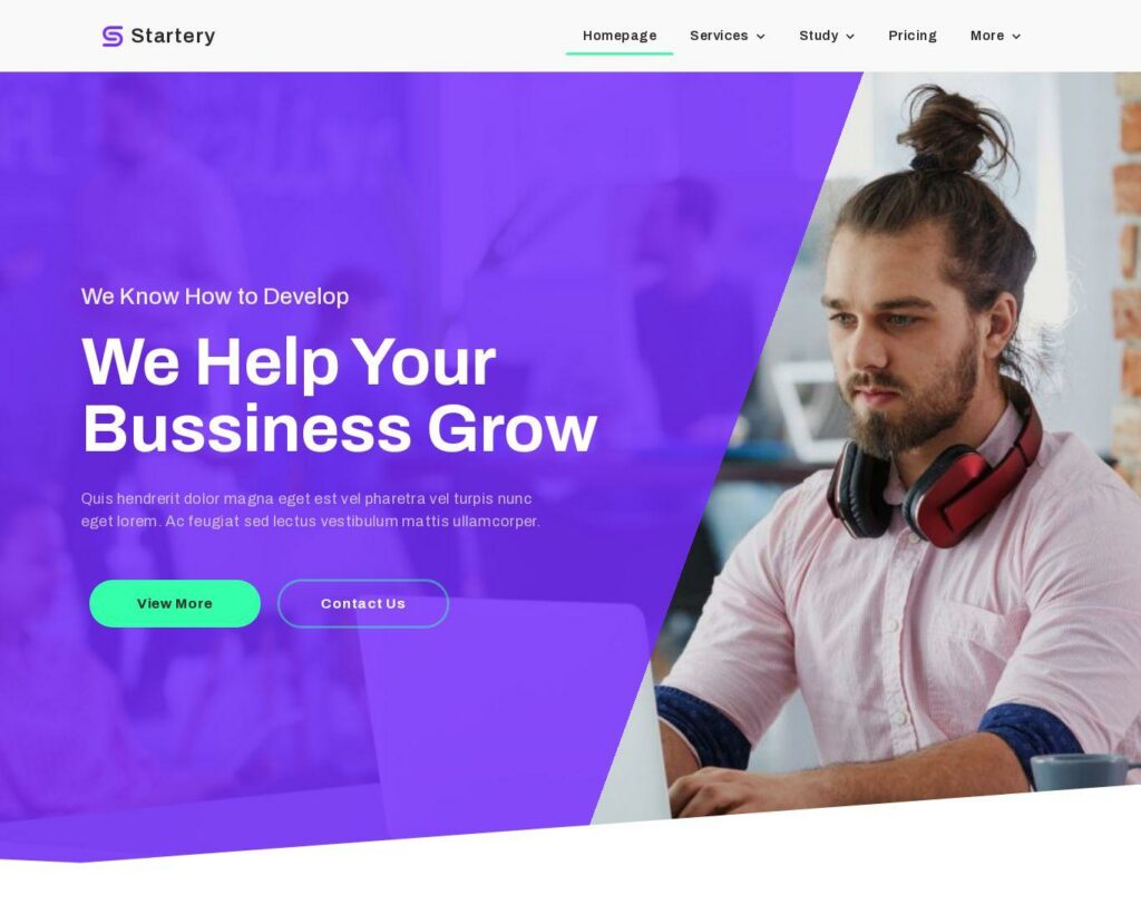 Site prezentare startery business