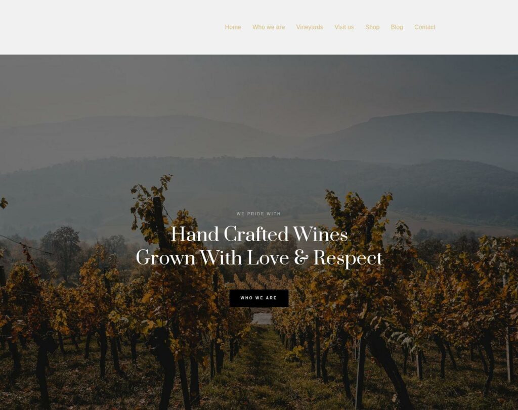 Site prezentare saras wine