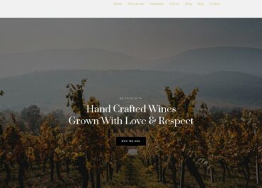 Site prezentare saras wine